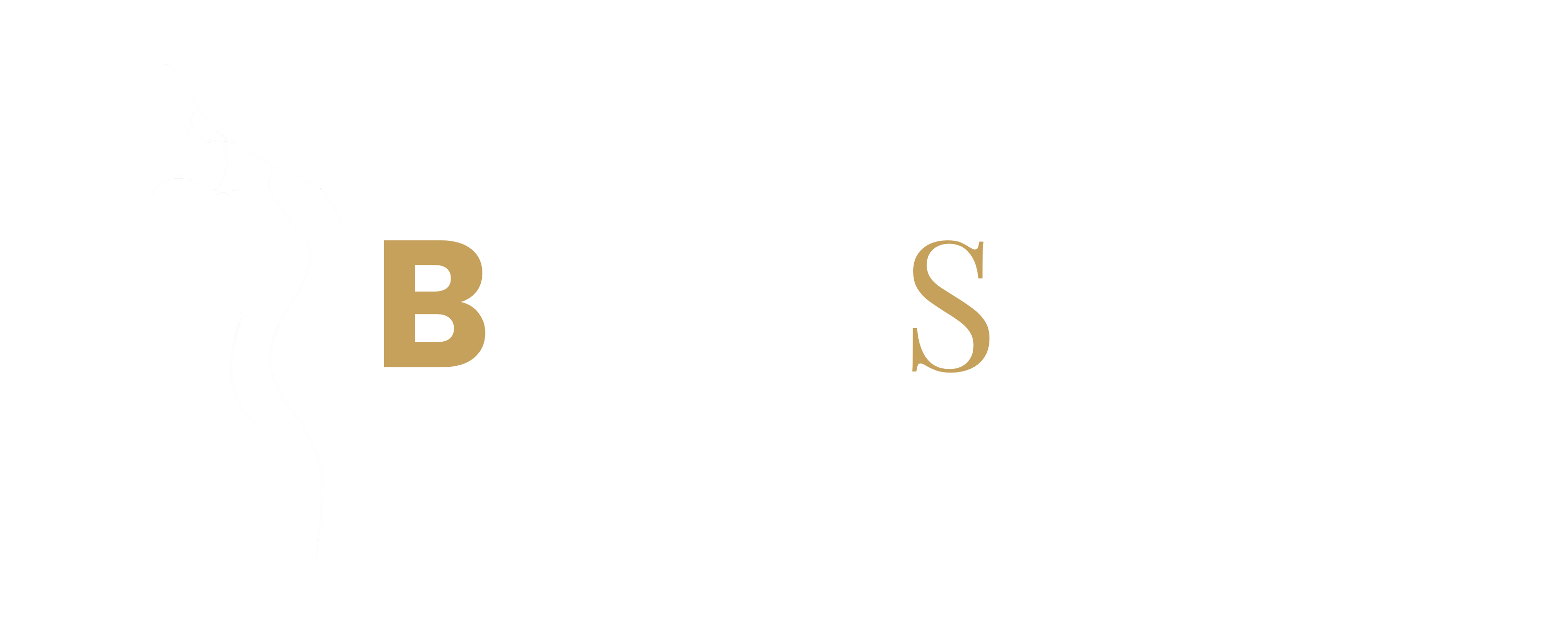 Body shape